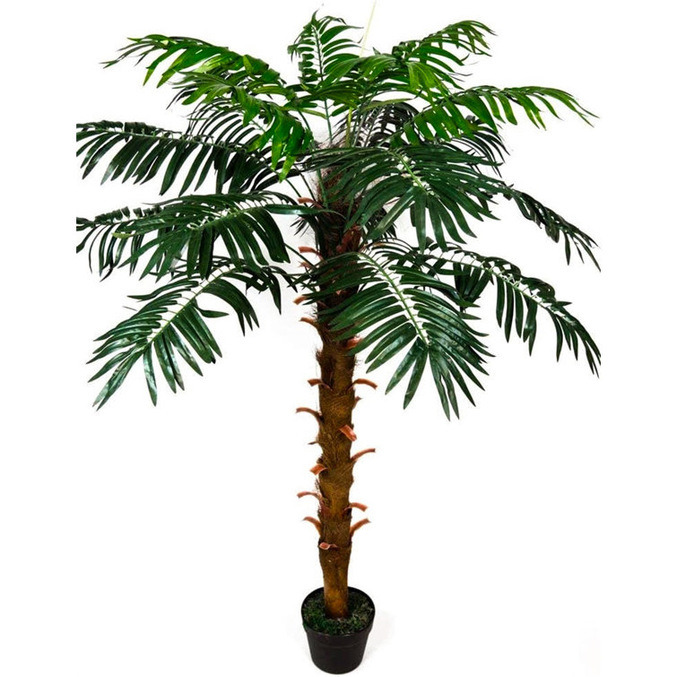 The Seasonal Aisle 140Cm Faux Palm Tree in Pot Wayfair.co.uk